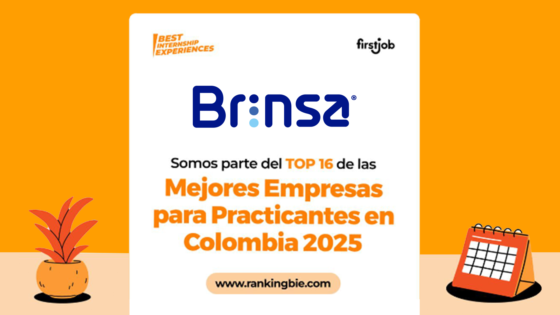 Brinsa es una de las mejores empresas para practicantes en Colombia