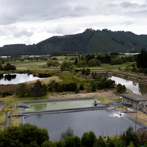 Buscamos reducir nuestras emisiones de CO2 Buscamos reducir nuestras emisiones de CO2